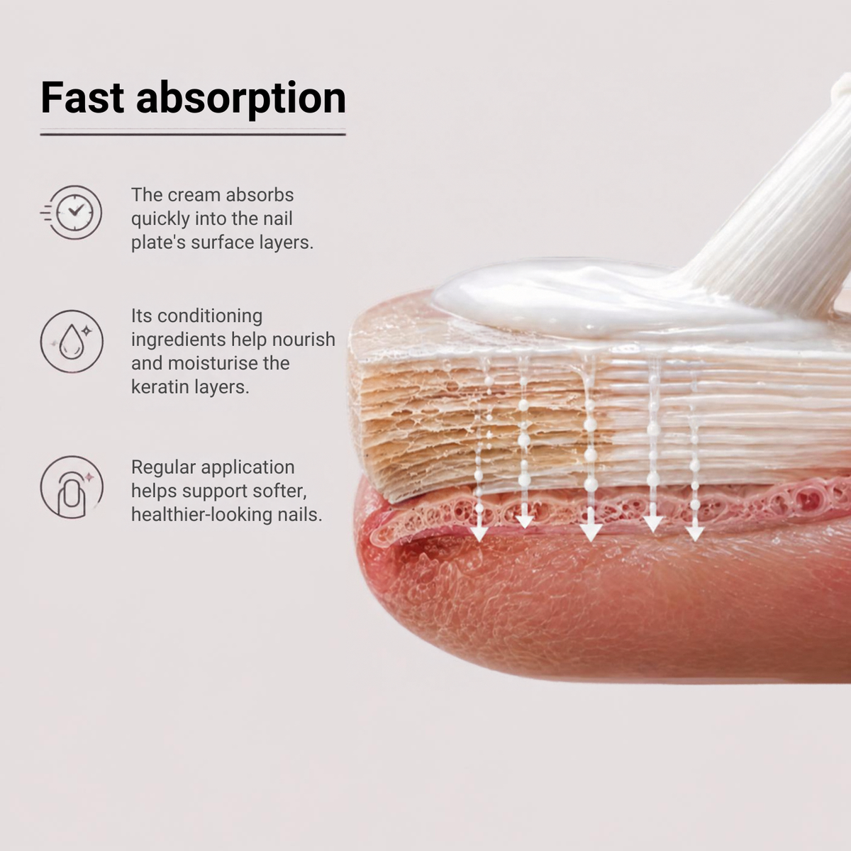 Diagram showing how Daline Magic Pen cream absorbs through the nail plate's surface layers into the keratin, nourishing and strengthening nails with regular use.