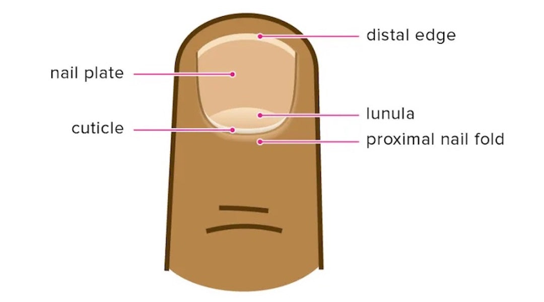How to Make Your Cuticles Healthier